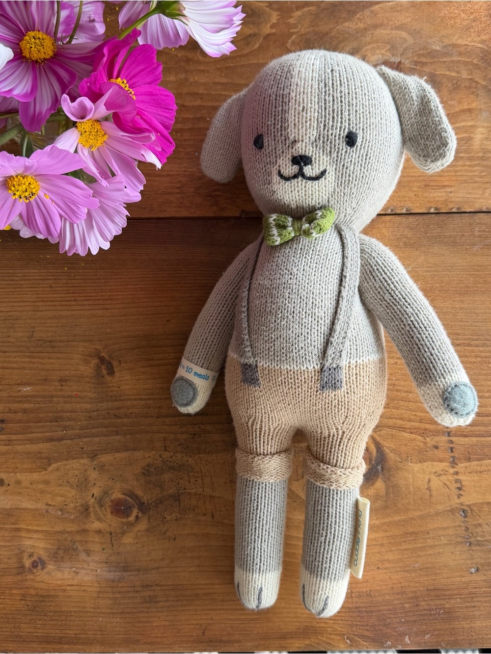 Cuddle and kind Noah the dog 13”